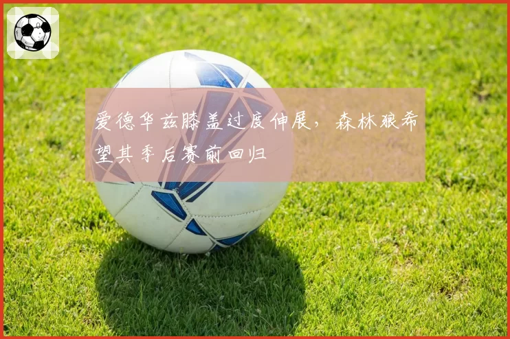 爱德华兹膝盖过度伸展，森林狼希望其季后赛前回归