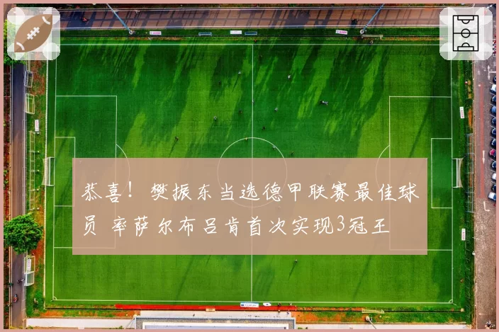 恭喜！樊振东当选德甲联赛最佳球员 率萨尔布吕肯首次实现3冠王